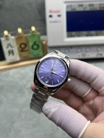 VSF Aqua Terra 34mm sun-brushed purple dial close-up