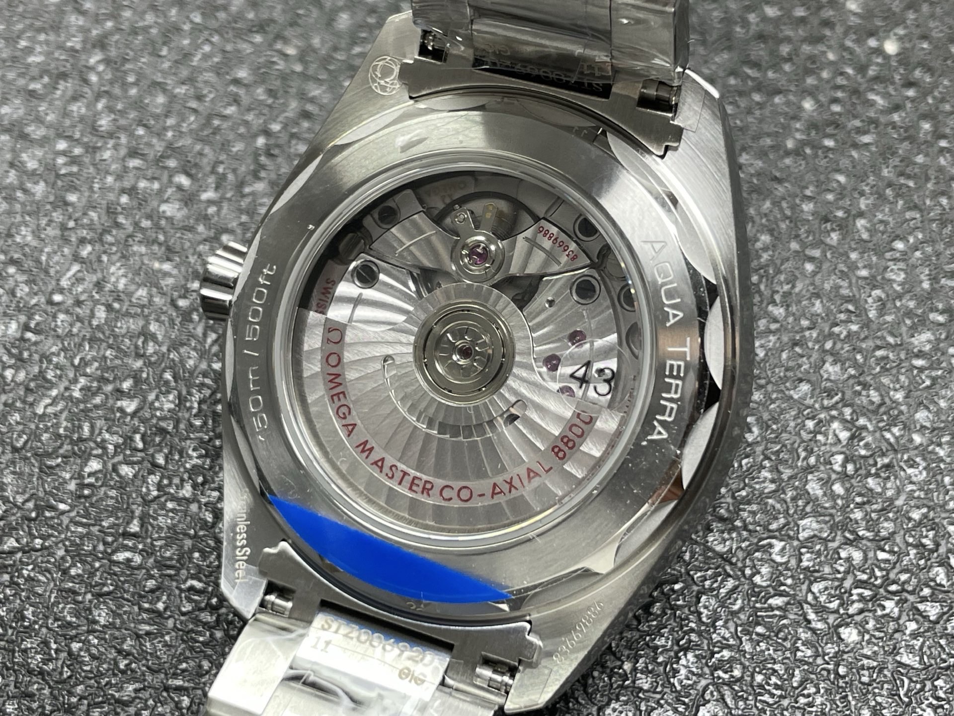 VSF custom Caliber 8800 movement visible through the Aqua Terra 38mm caseback